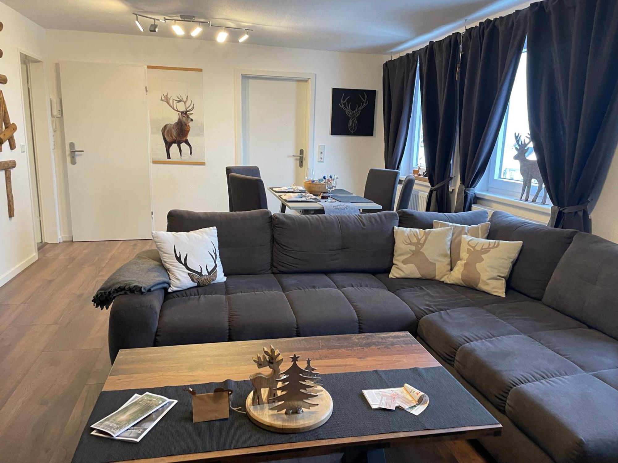 Appartement Harzstuebl25 à Sankt-Andreasberg Extérieur photo